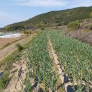 남해-312 이미지