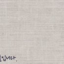 강남 요미독앤캣 강아지 분양 고양이 분양 이미지