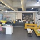 일산고양이분양&미용 반하나캣 이미지