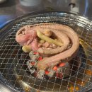 빨간고기본점 | [강동/둔촌동 맛술집] 둔촌동역 맛집! 강동 꼼장어 맛집 “빨간꼼장어 둔촌동역본점” 내돈내산 후기