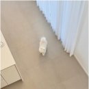 온화한가(온송) 네이버블로그