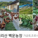 최석구농장 이미지