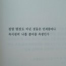 오산점집 해월궁자미신녀 소름 돋는 신점 연애운 후기