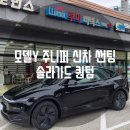 카포먼스;솔라가드프리미엄루마버텍스