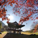 강풍경 파크 | 화순 - 영벽정 (feat.화순능주파크골프장, 출렁다리) [Jeolla. Korea]