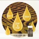 케어셀라 이미지