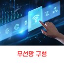 광포 허브
