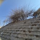 교현2동주민센터 이미지