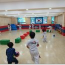 용인대 진태권도장 이미지