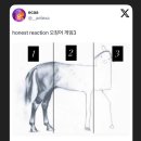 춘동3 | 일년(maybe)를 살아가는 힘