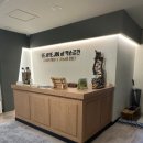 송내힐링센타 | [송내역 마사지] 국가공인 '약손공간 지압 안마원' 방문 후기 (경기 부천시 소사구 송내동) | 힐링...