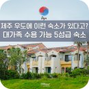 와우힐즈게스트하우스 | 우도 숙소 가족 펜션 훈데르트힐즈 객실 바베큐 미술관 제주 여행