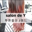 살롱드와이 - 강남구 | 살롱드와이
