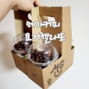 메가엠지씨커피목포옥암 | 메가거피 요거젤라또 초코베리믹스 맛 가격 요아정 비교 요거트아이스크림