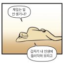 온트렌드 - 서대문구 | 온트렌드