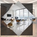 보성이탈리안그레이하운드 2 | 인천송도 유기견보호센터 이탈리안그레이하운드 입양의 모든 것 실제 경험담 공유