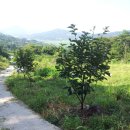 병길농장 이미지