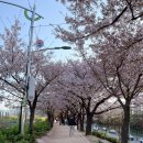 양평1동-4 이미지