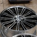 와일드인터내셔널 이미지