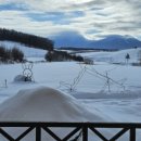 스텔라 민박 이미지