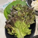무실동주변길 | [맛집] 원주 무실동 족발맛집 ' 족발당 본점'