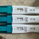 유산 후 재임신 시험관 휴식중 자임 성공 임신초기증상 임테기 공유