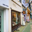 아이스퀸 - 목포시 고하대로 641-12 | [엘사 튤립] 아이스퀸 튤립 내돈내산 후기후기