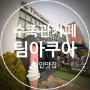 열대어(관상어) 기르기 입문 | 천안 아이랑 가볼만한 곳 추천!![팀아쿠아] 천안수족관/천안아쿠아리움/물고기 키우기 입문