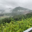 세화부동산공인중개사사무소 이미지