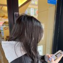 일품헌, 성원빌딩 | 2024년 1월 이모저모 2편 (우연술상🍜, 일품헌🍲, 인덕원비빔국수🍝, 리북집🥔, 브릭베이글🥯, 최강금돈까스🐖)