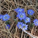 요즘은 긴급재난지원금에 대해 무성한 말들.............(들) 이미지