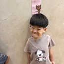 21세기맑은약국 이미지