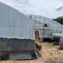 노안농장 이미지