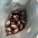 1380 | CJ 맛병아리콩 vs 맛검은콩 솔직 후기｜1,380원 할인템 리뷰