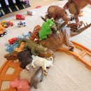 노아심리발달센터 이미지