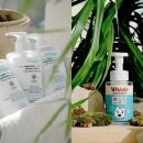 반려라이프 이미지