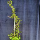 장신농장 이미지