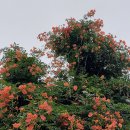 철길숲(양학동) 이미지