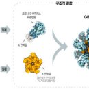 SK바사 코로나19 백신 `GBP510` 임상 3상 승인…더 가까워진 국산 백신 이미지