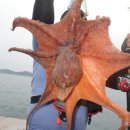 피쉬헌터 이미지