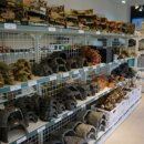 와우펫앤쥬 부산점 이미지