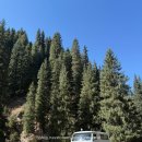 두명여자경로당 | 키르기스스탄 여자 혼자 여행 알틴아랴산 엘자게스트하우스 6인실 숙박 후기