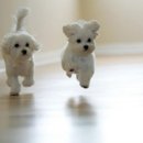 기다리다 이미지