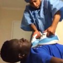 달빛 햄스터리 | 서울 햄스터 분양 후기 🐹 달빛햄스터리 서울점에서 골든햄스터 아가 데려왔어요🤎