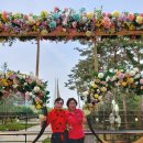 꽃보다 라인댄스 이미지