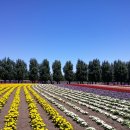 국철농장 이미지