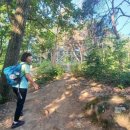 원주굽이길 1코스 가마바우길 이미지