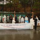 삼성 기흥 반도체공장, 삼성 본관, 강남 촛불 이미지