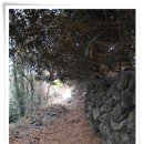 당포연대 이미지