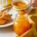 그린마멀레이드 이미지